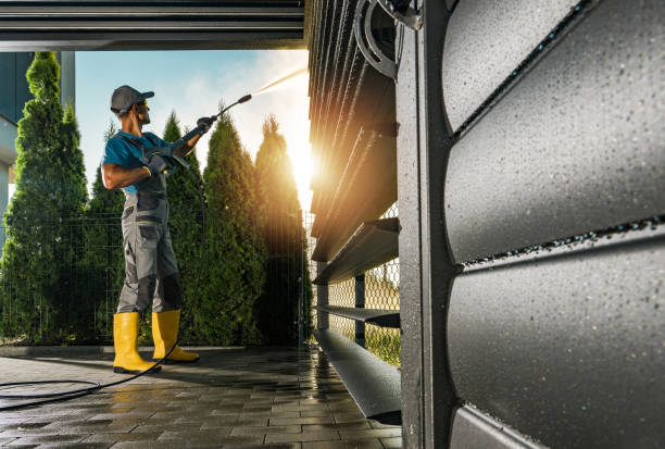 Best Soft Washing for Delicate Surfaces in Kailua, HI
